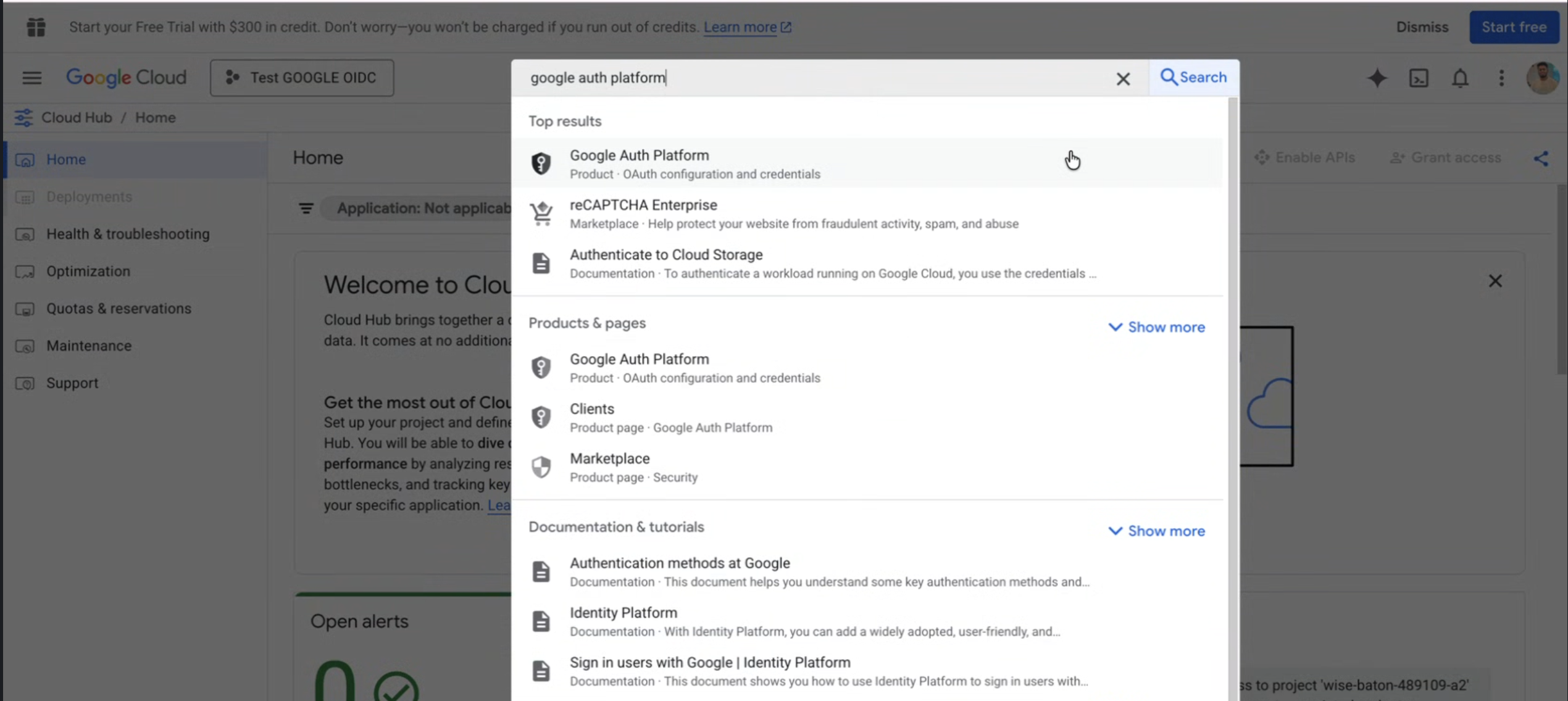 Search for Google Auth Platform in Google Cloud Console